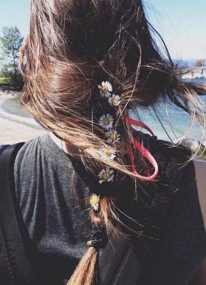 菊花园细致的法夏