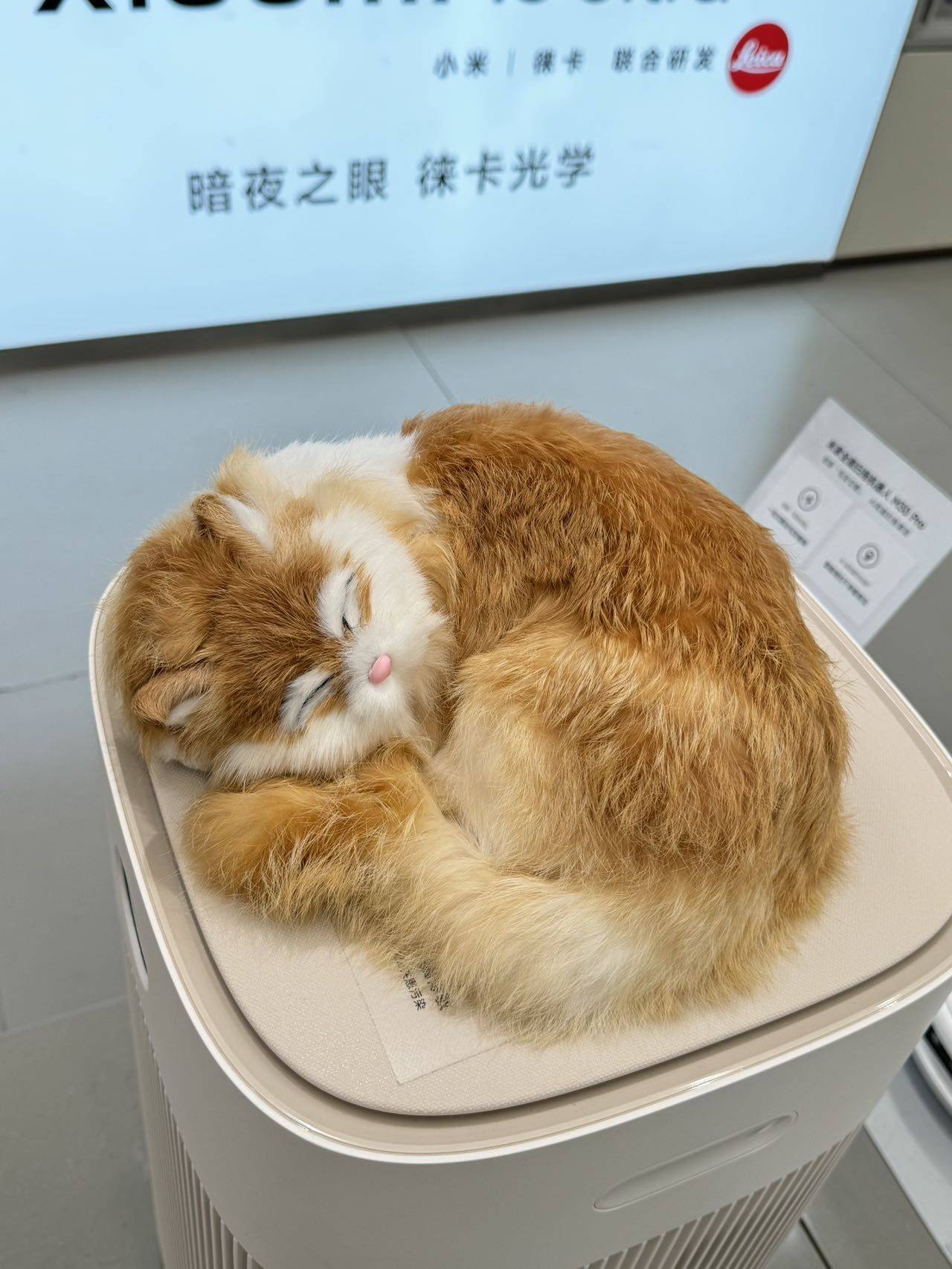 清水