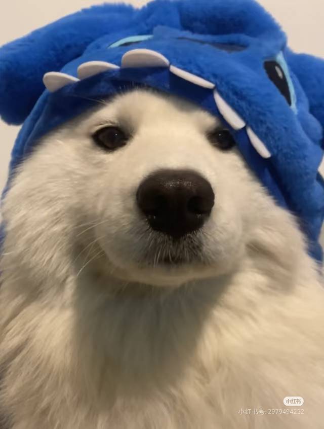 🥺