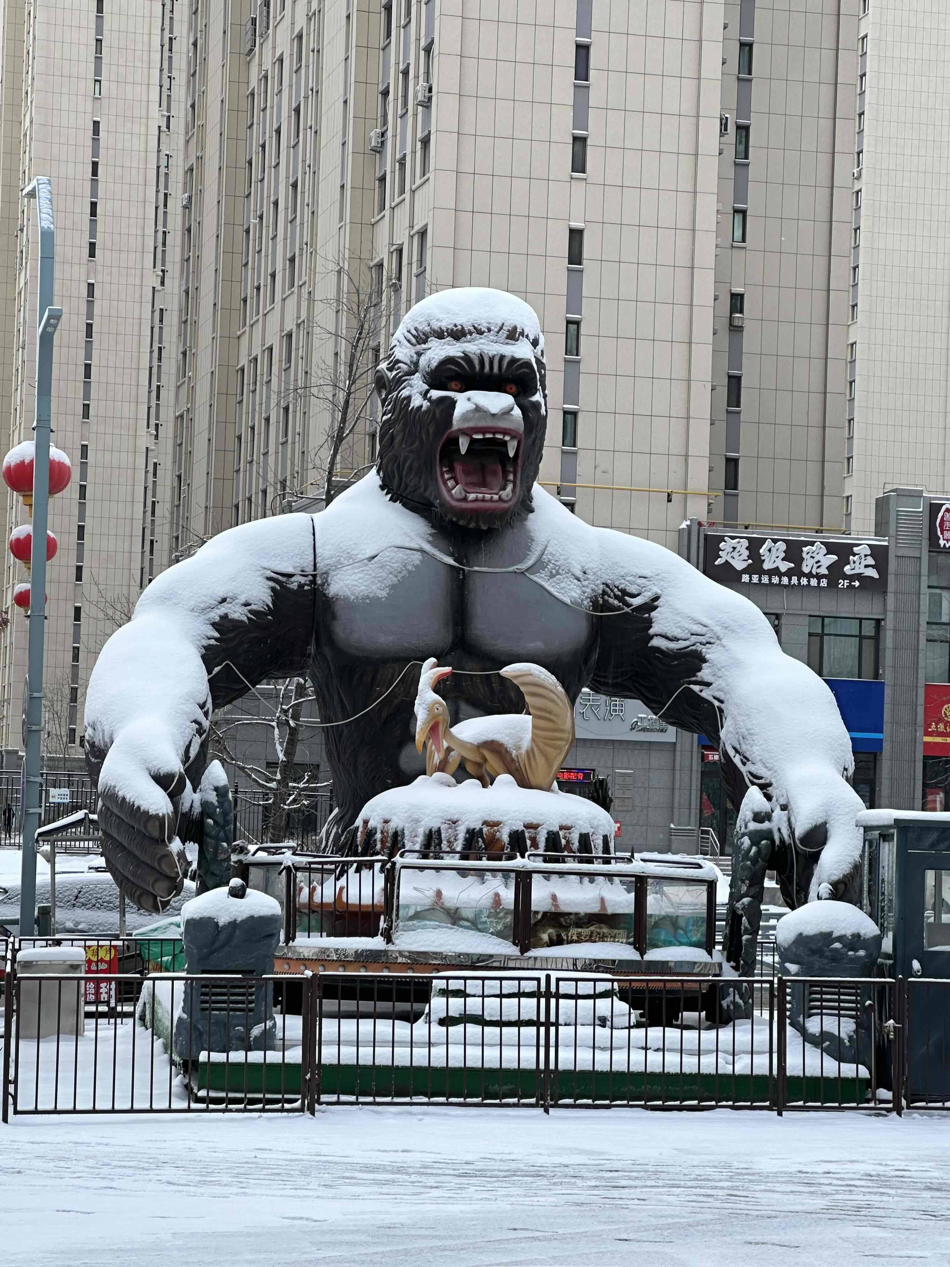腹肌体育生