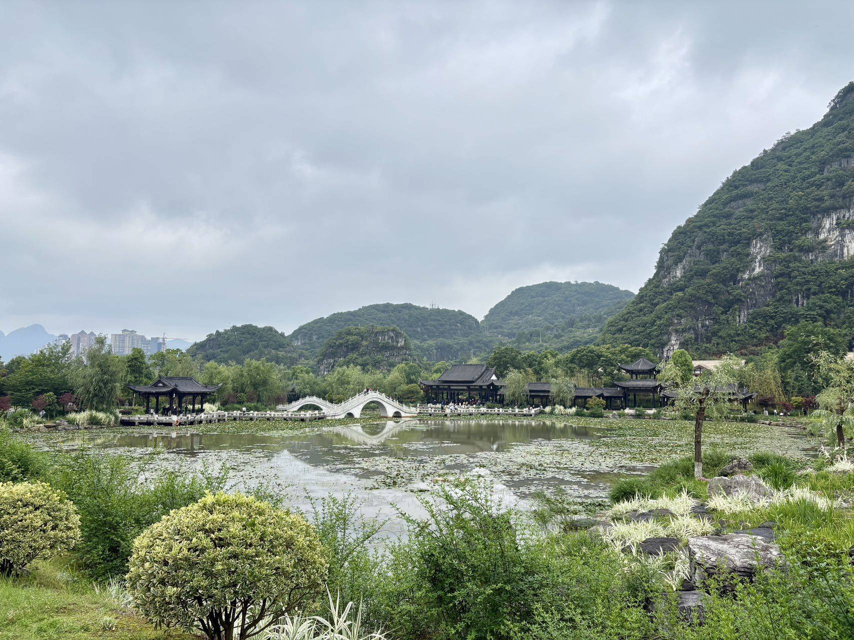 露宝