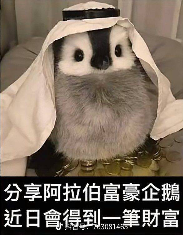 财神爷爷请爱我
