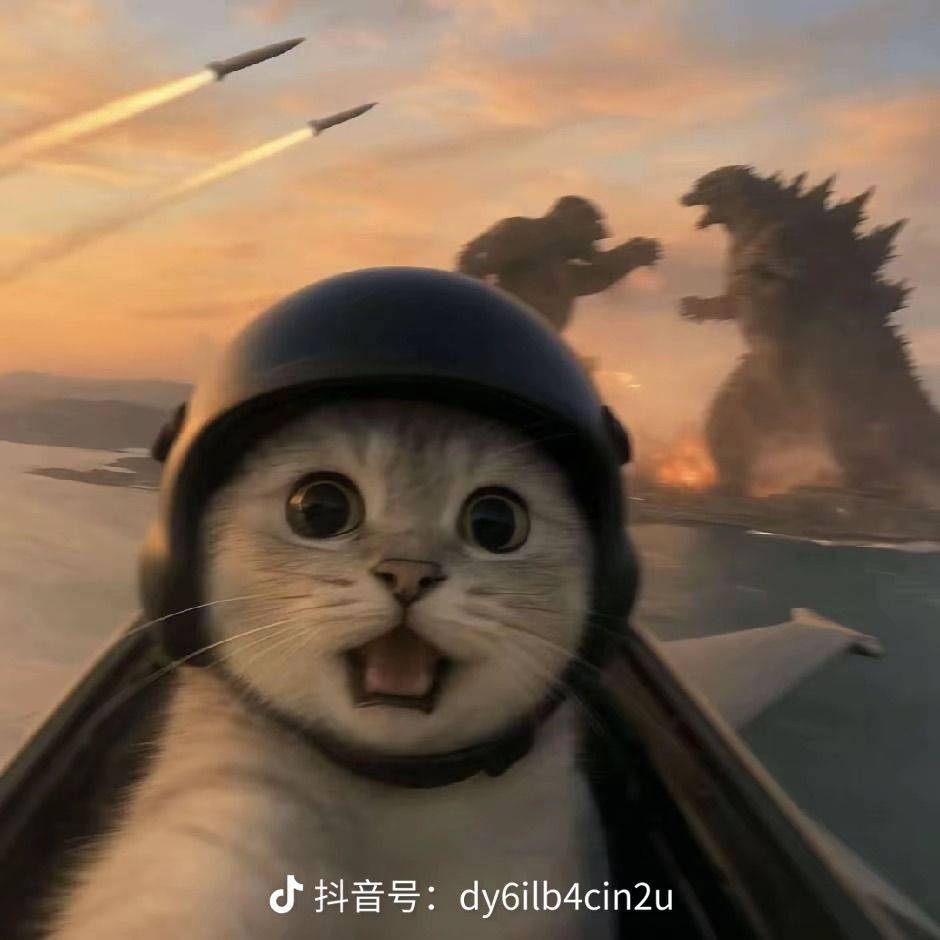 哈哈