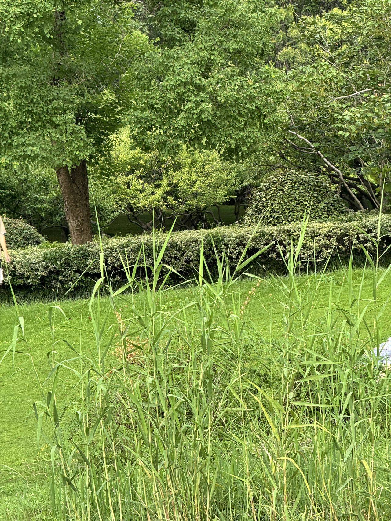朝闻