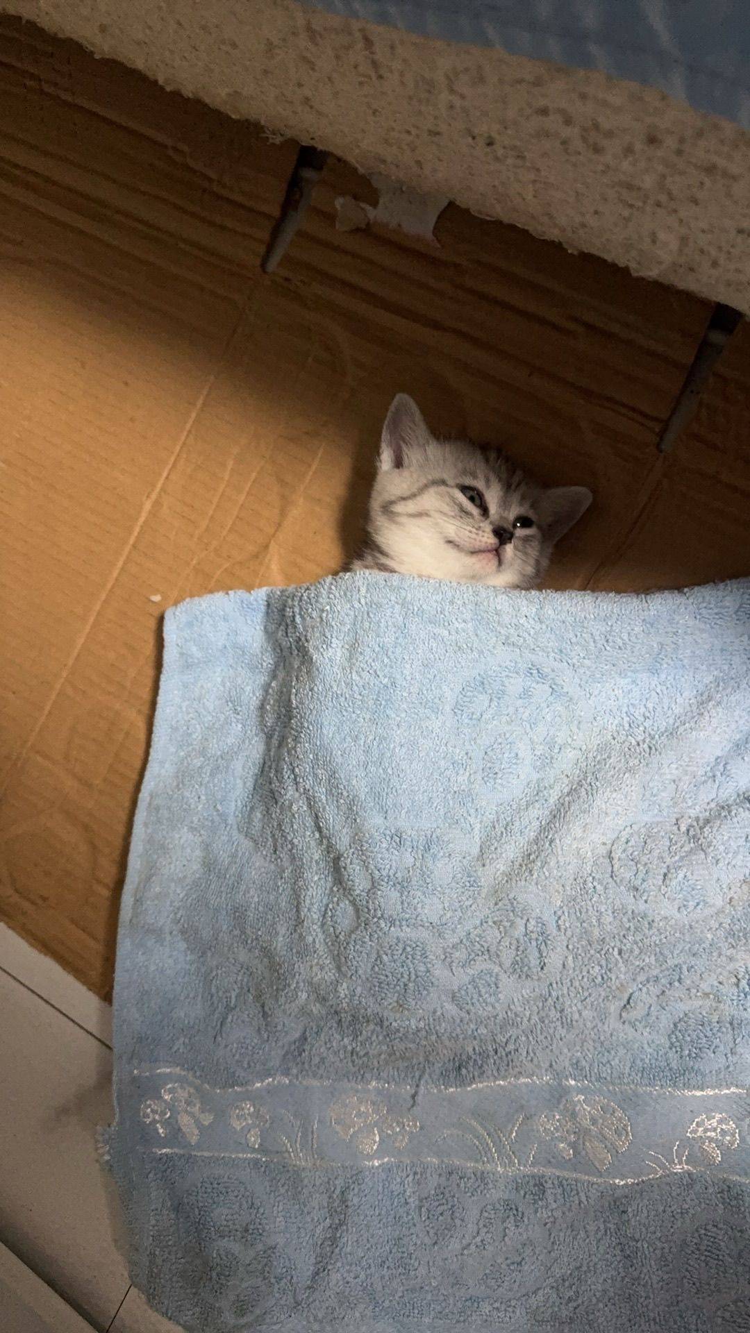 马克