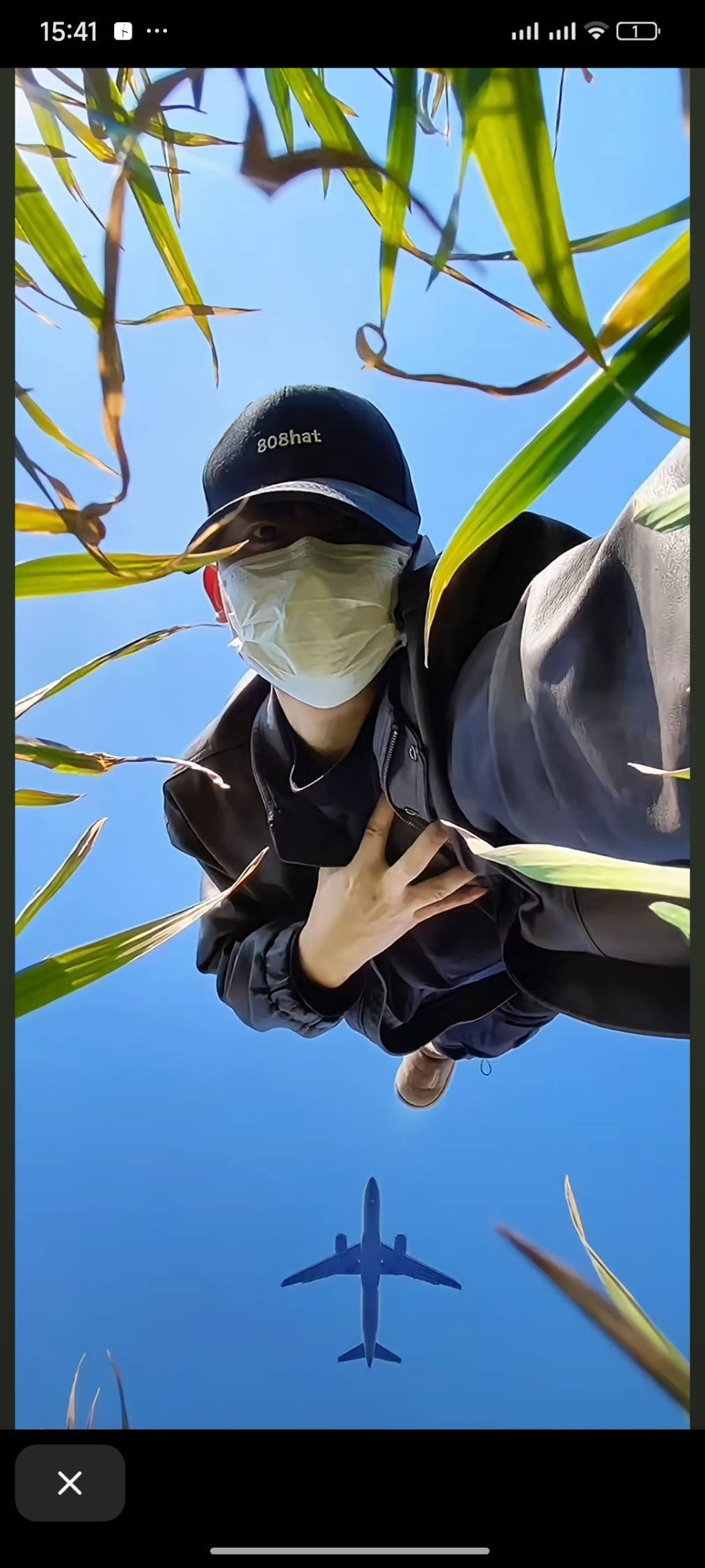 江子叶