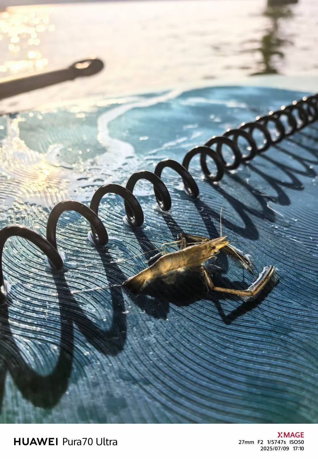 黄山里房屋出租