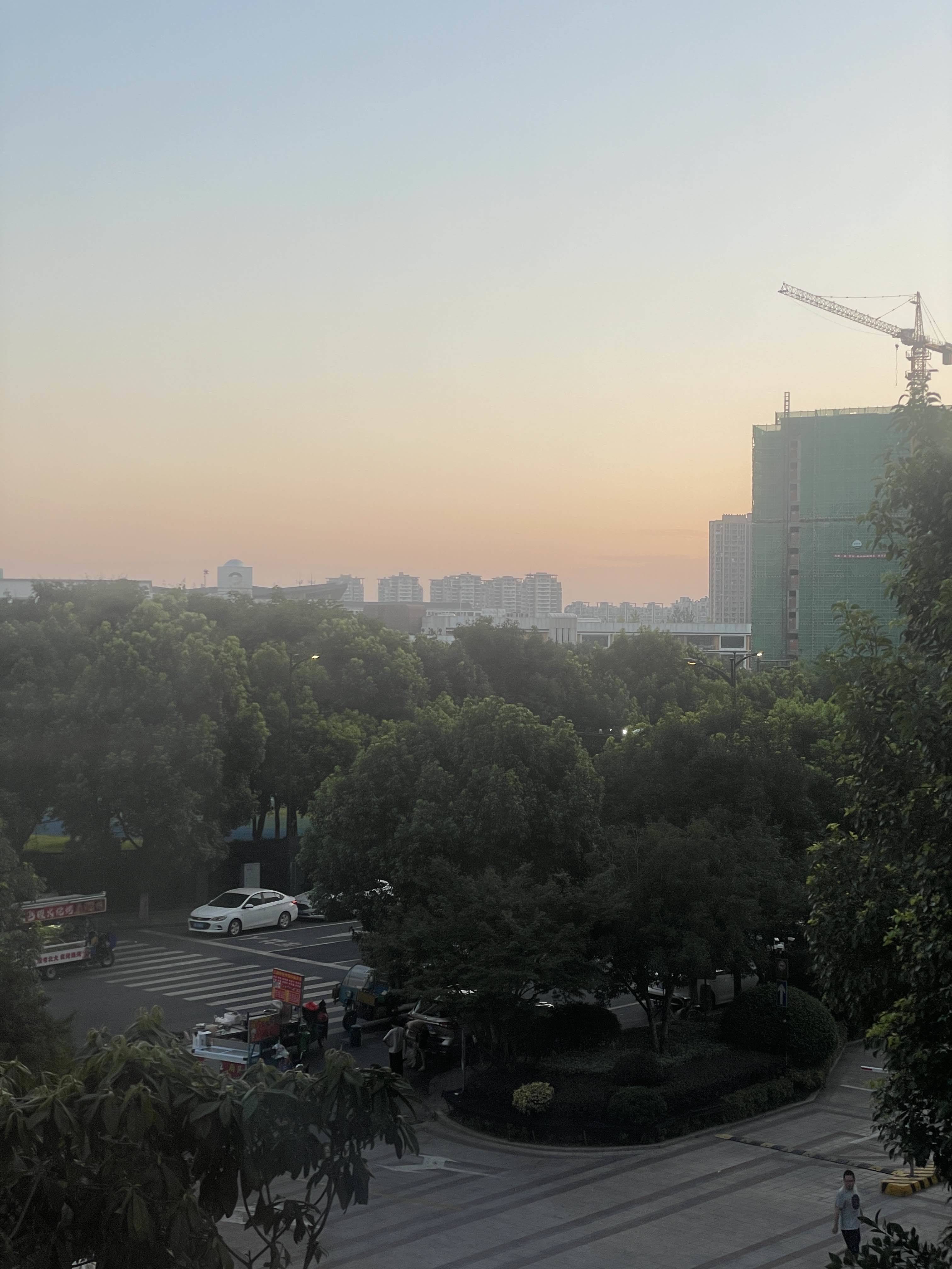life_photo_3