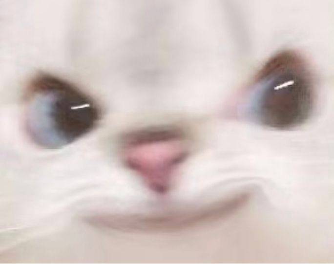 ooo^