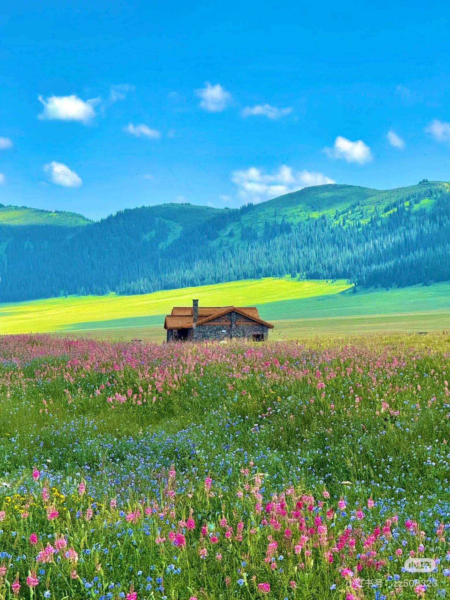 life_photo_0
