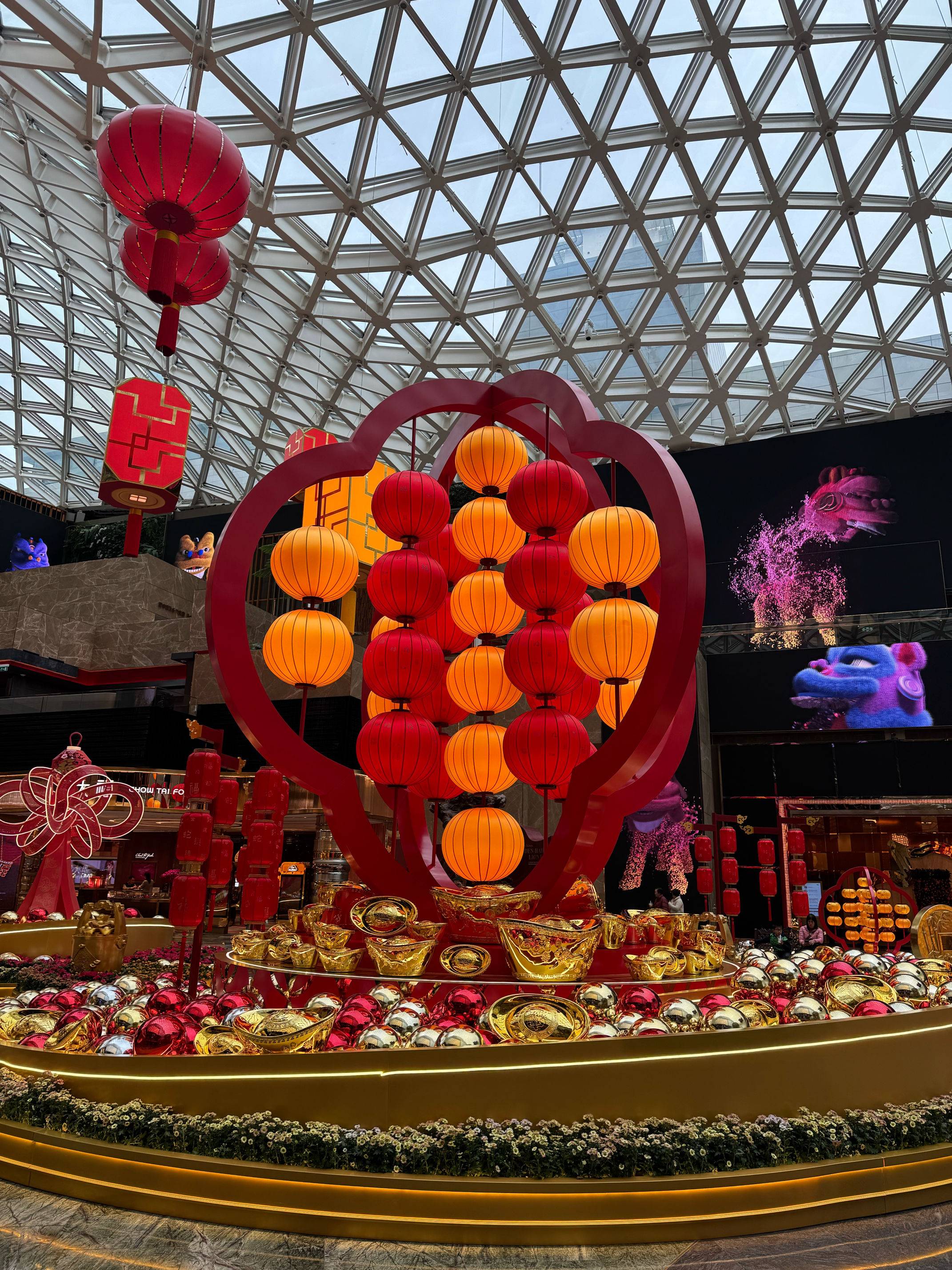 小白白