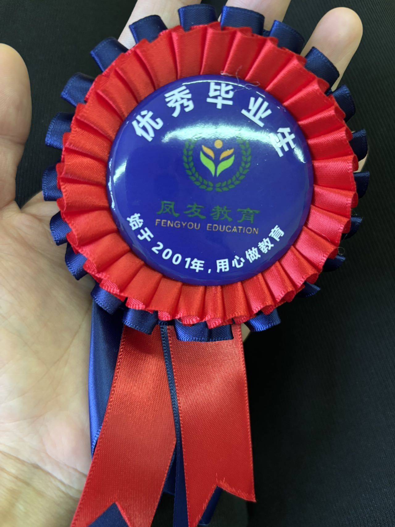 成琳