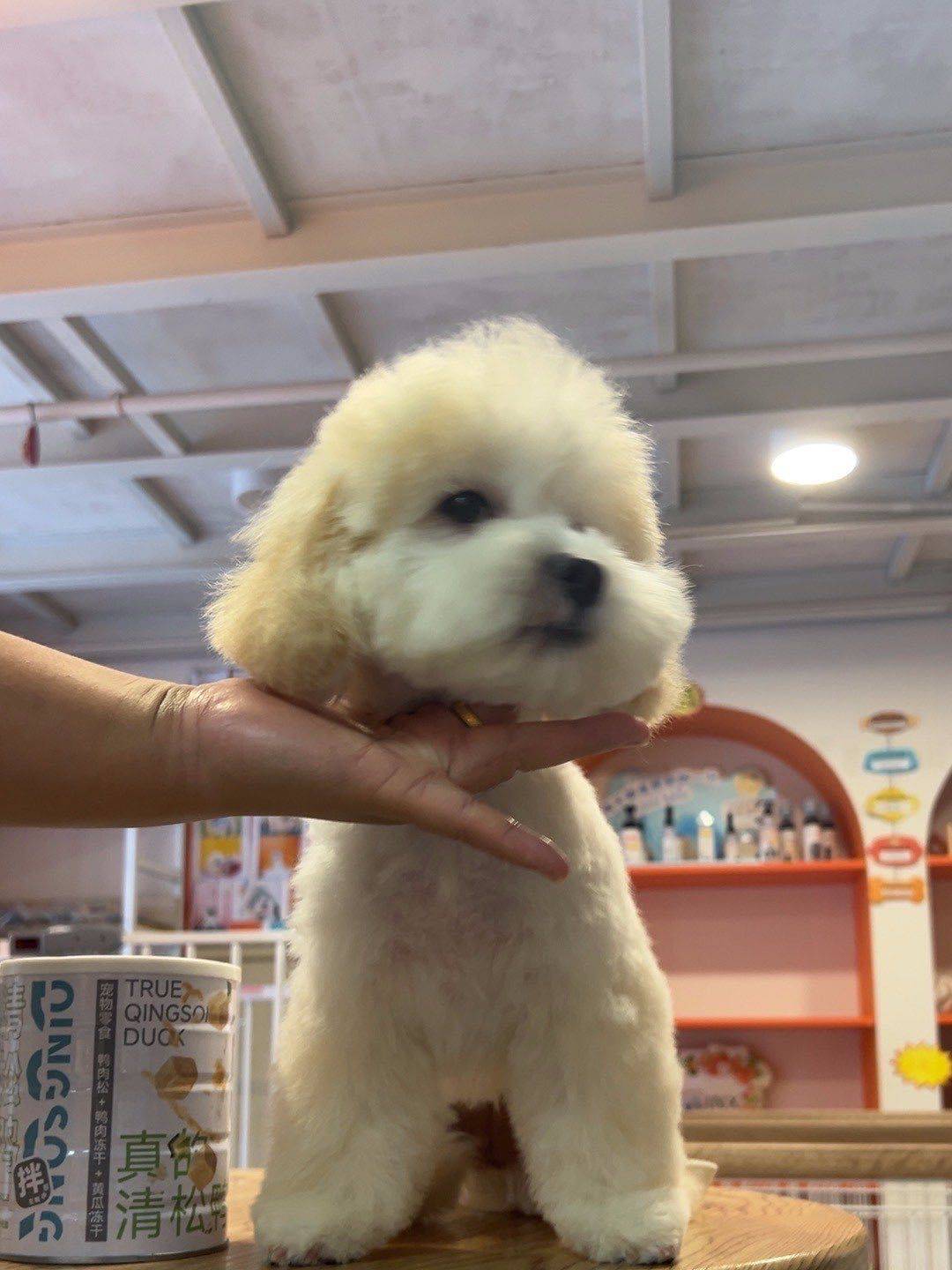 向上