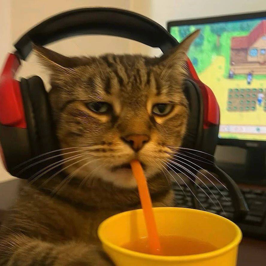 qqw