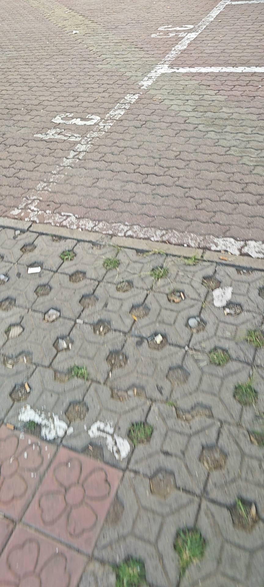 雾岛
