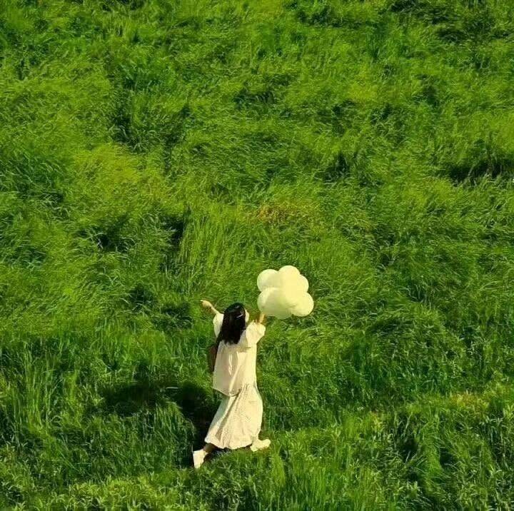 灰灰