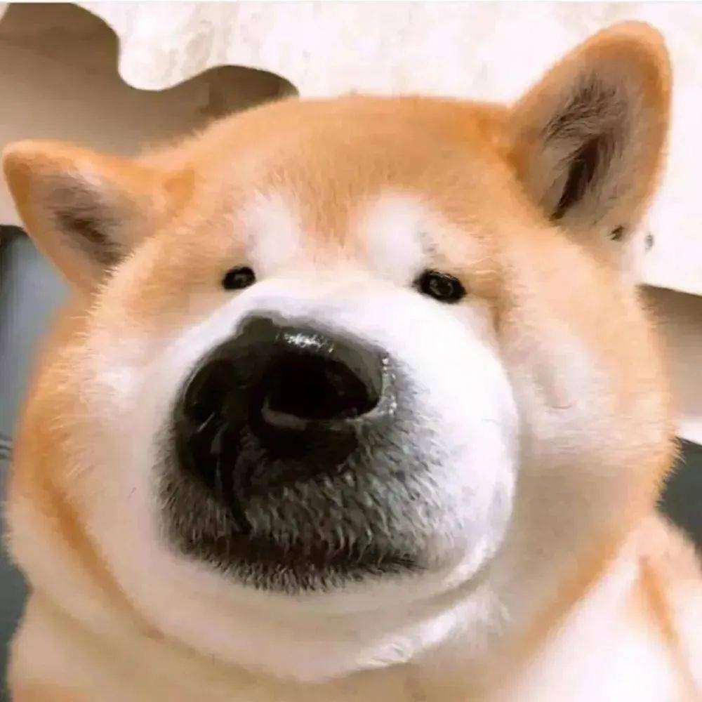 我哪会起名字