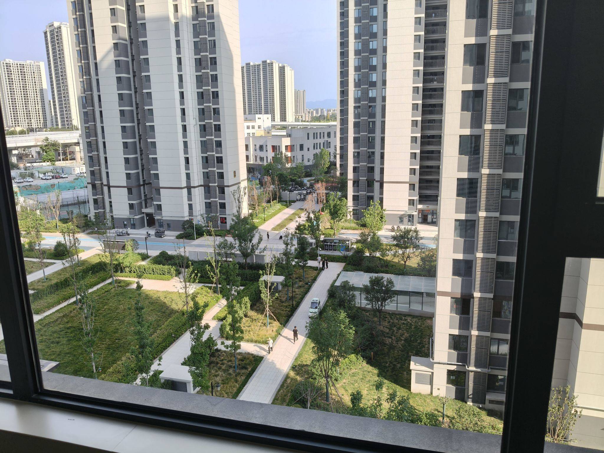 苹果