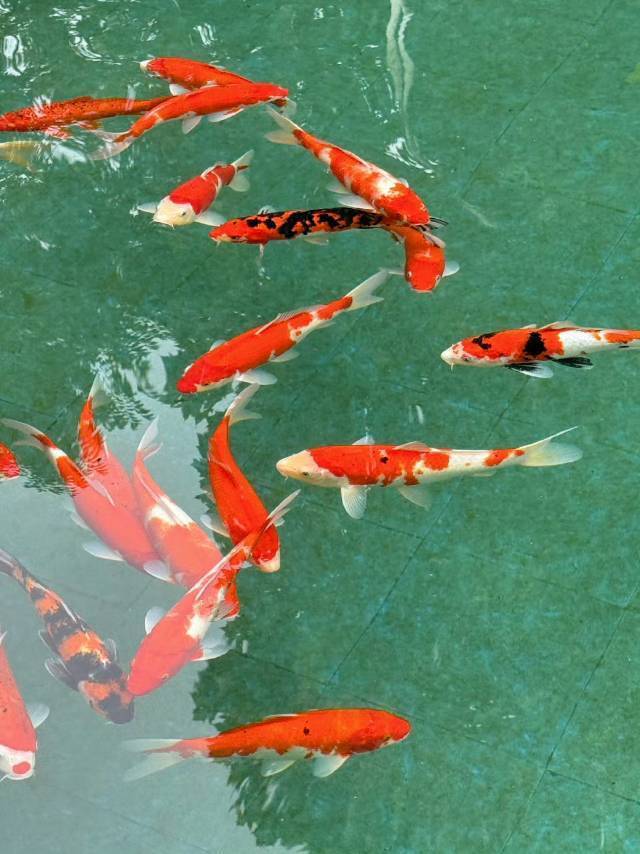 快点租出去呀