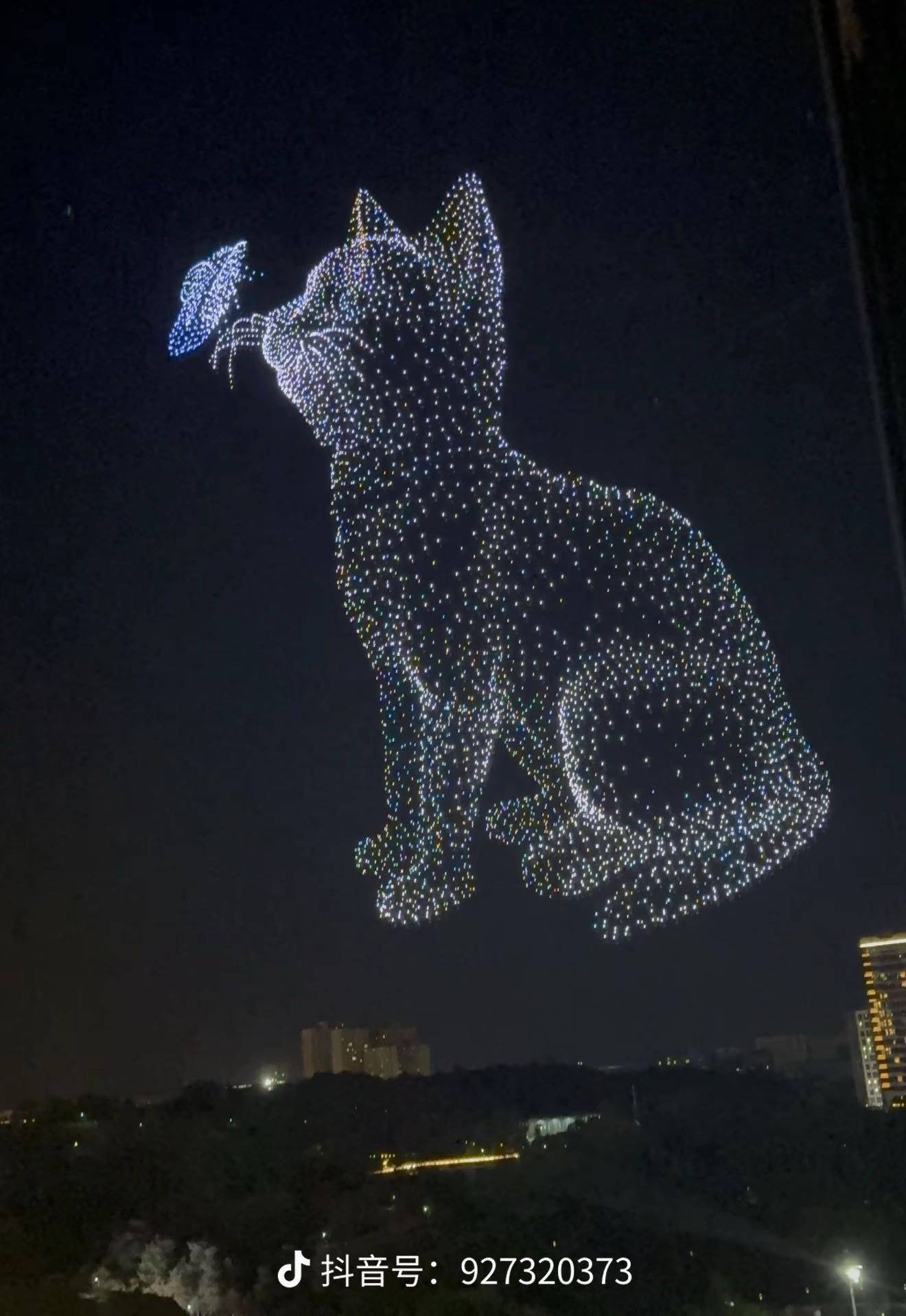 流芳百世的代号