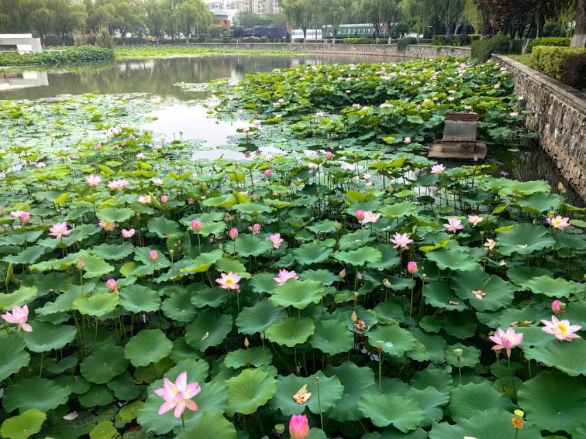 嘻嘻麻麻