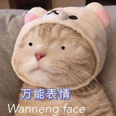 星星河