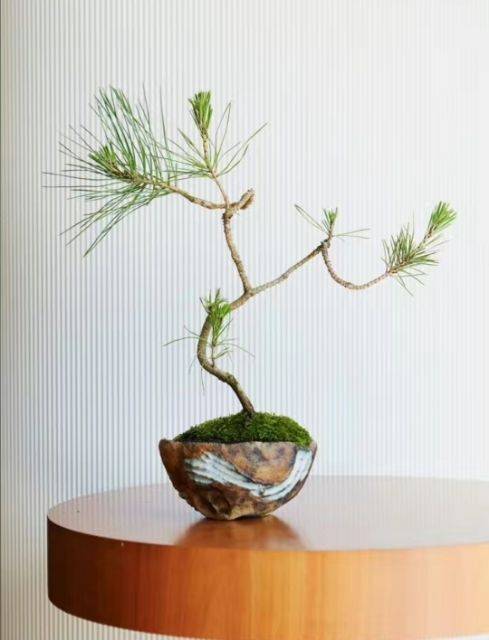 房东直租洪家楼