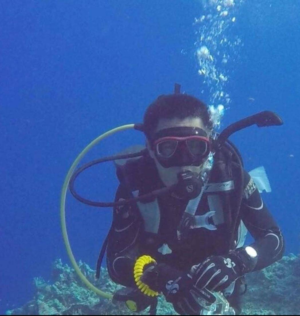 diving牛