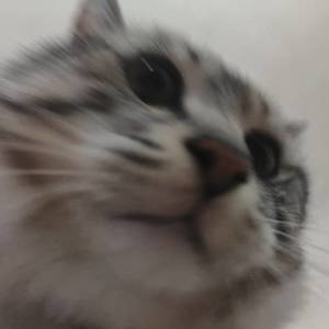 补药打le
