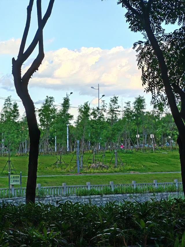滴滴