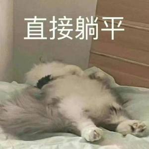 哈哈
