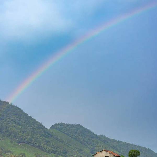 房东直租中介勿扰