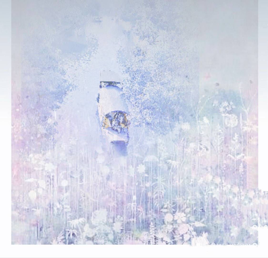 戴花的🐎