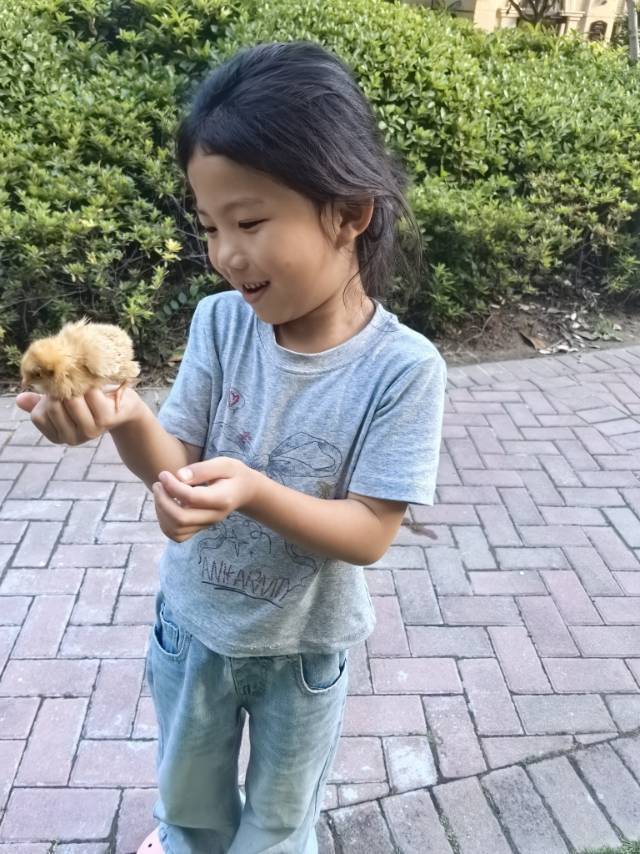 晨