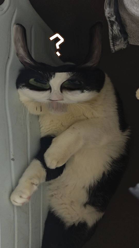 国家不保护废物