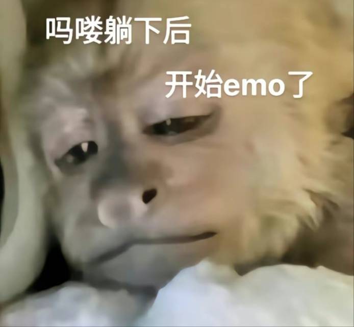 白鸟