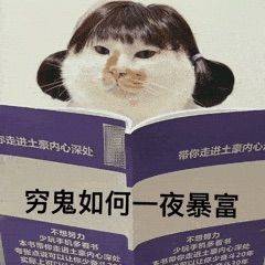 番茄炒西红柿