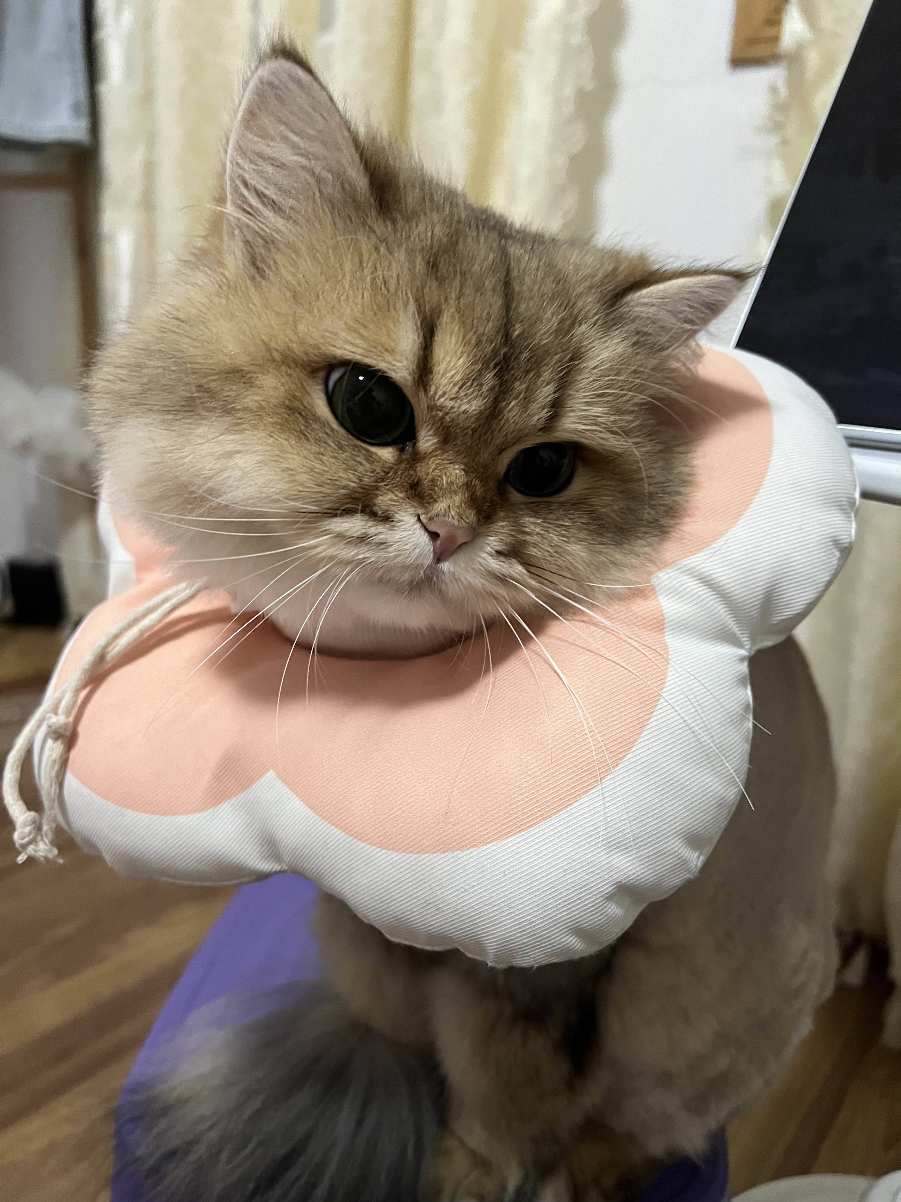 清晰