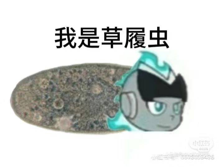 zz