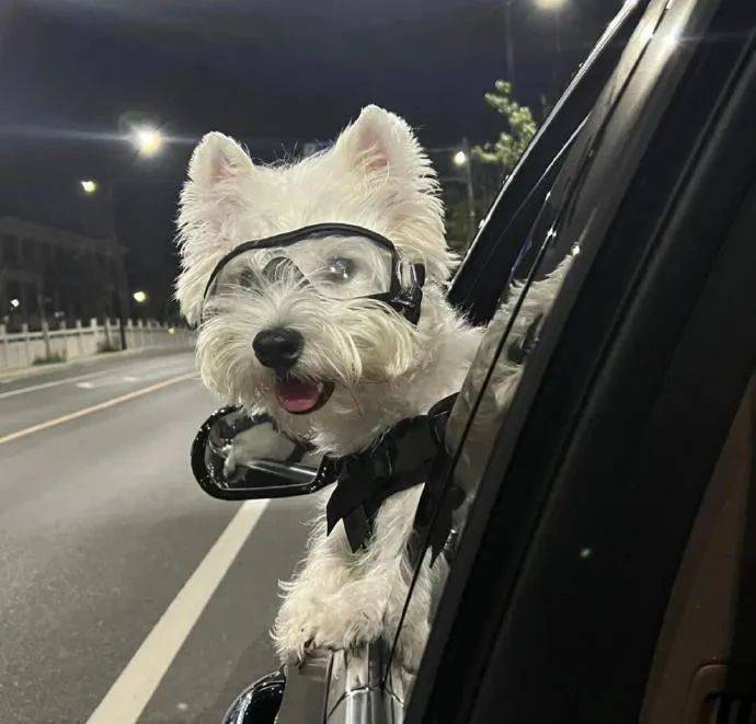 人生就是一场体验，要尽兴