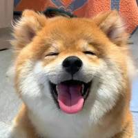 曦月