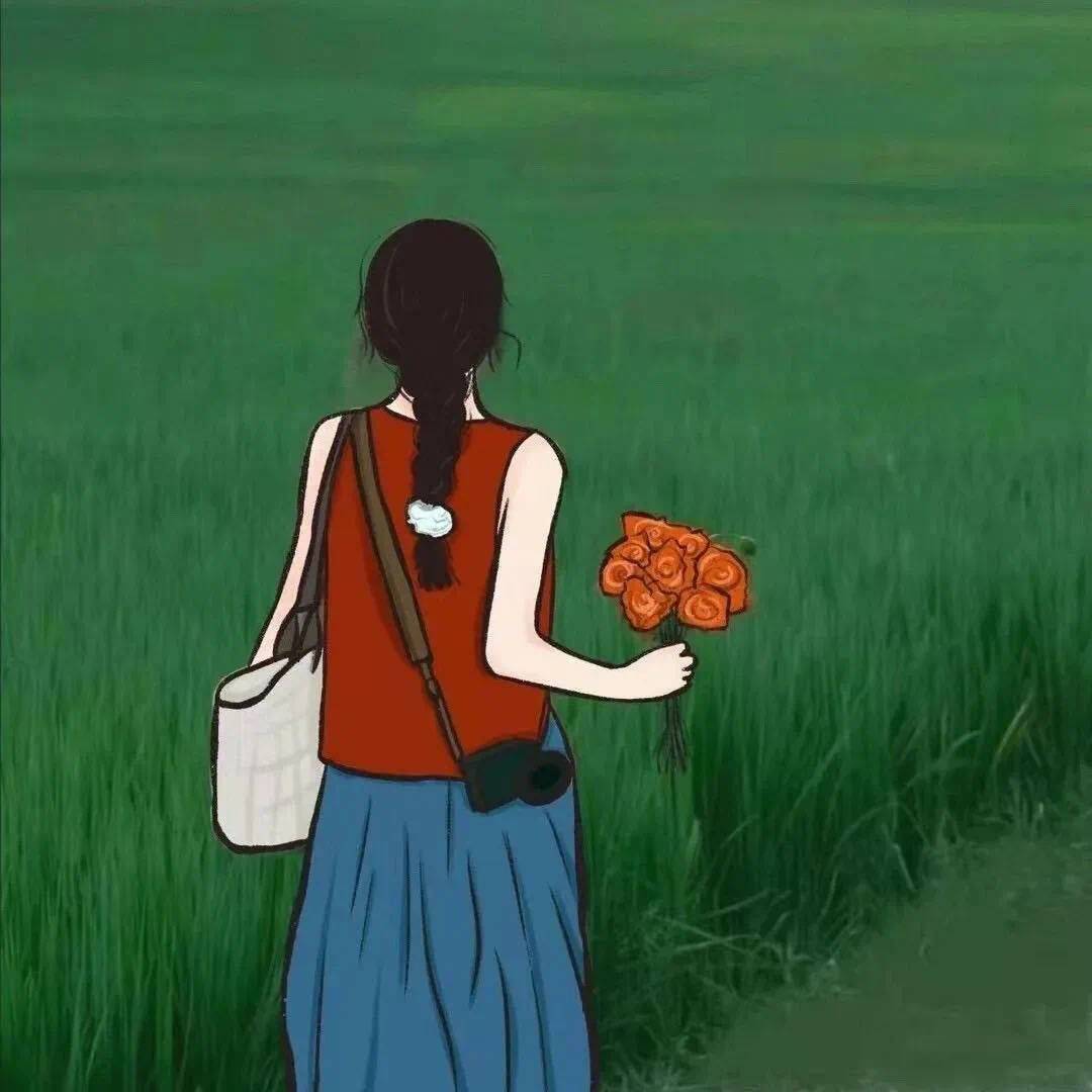 小岛来信