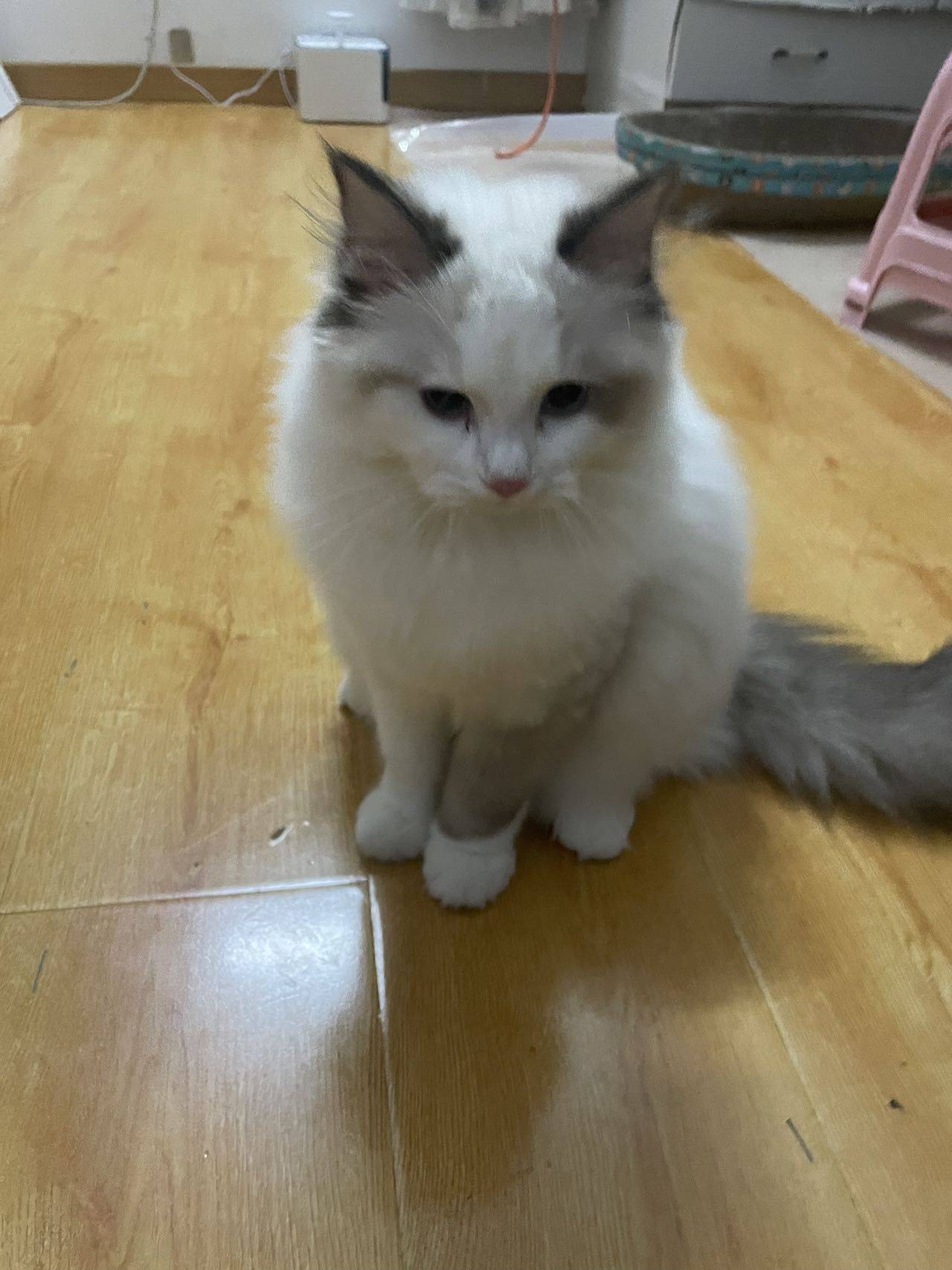 哈哈