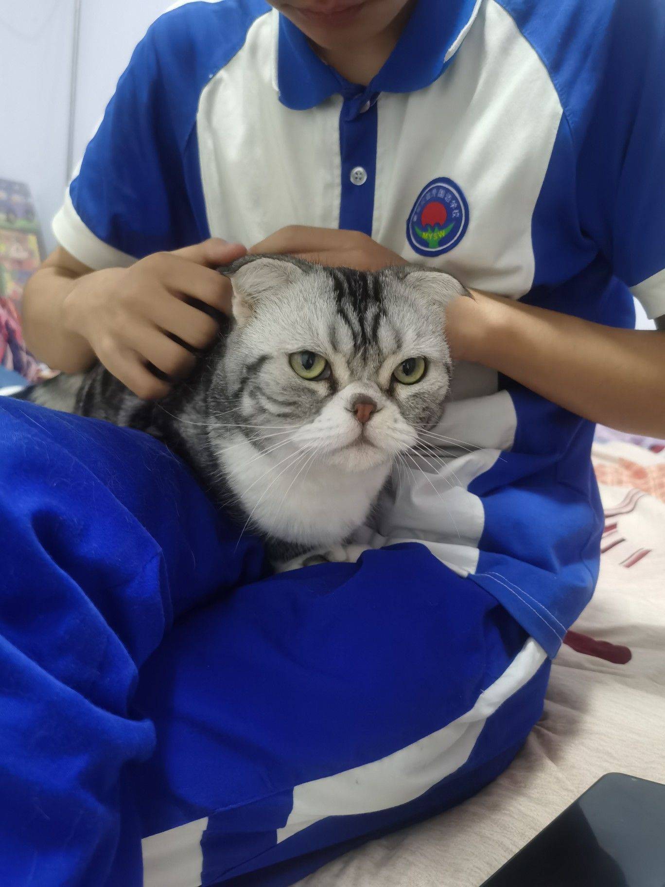 百事顺心