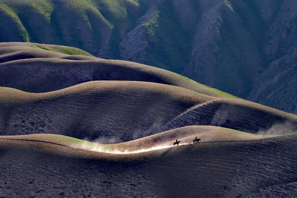 摇钱树