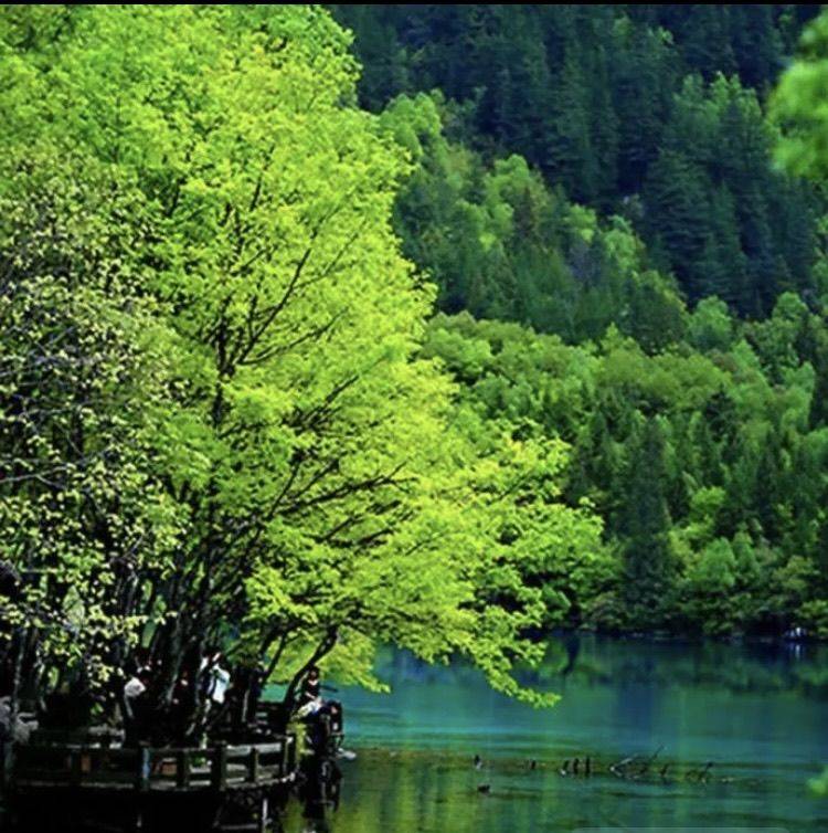 房东 