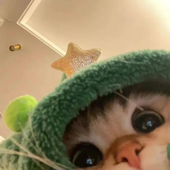 臭皮蛋