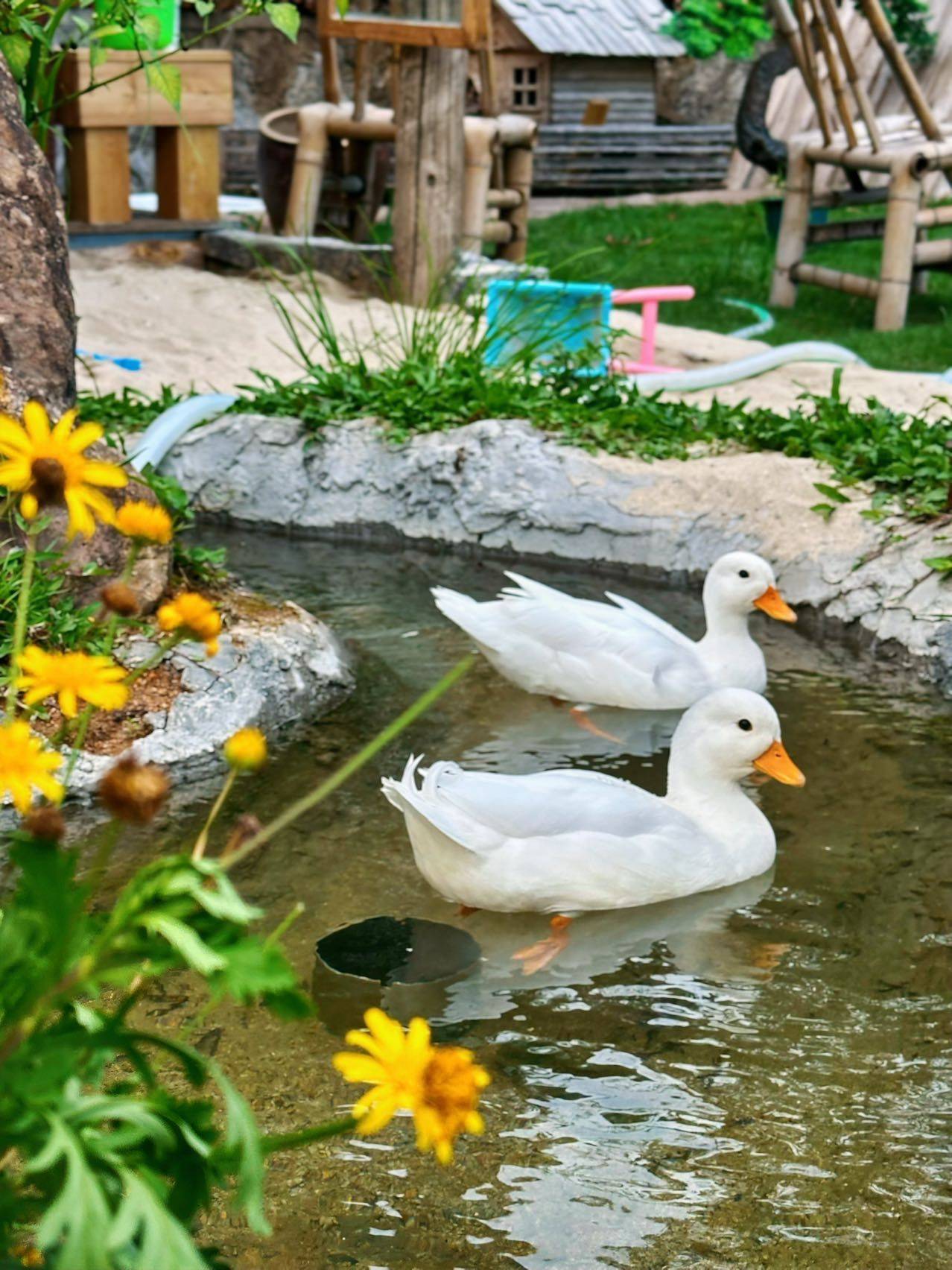 龙华上塘找合租室友