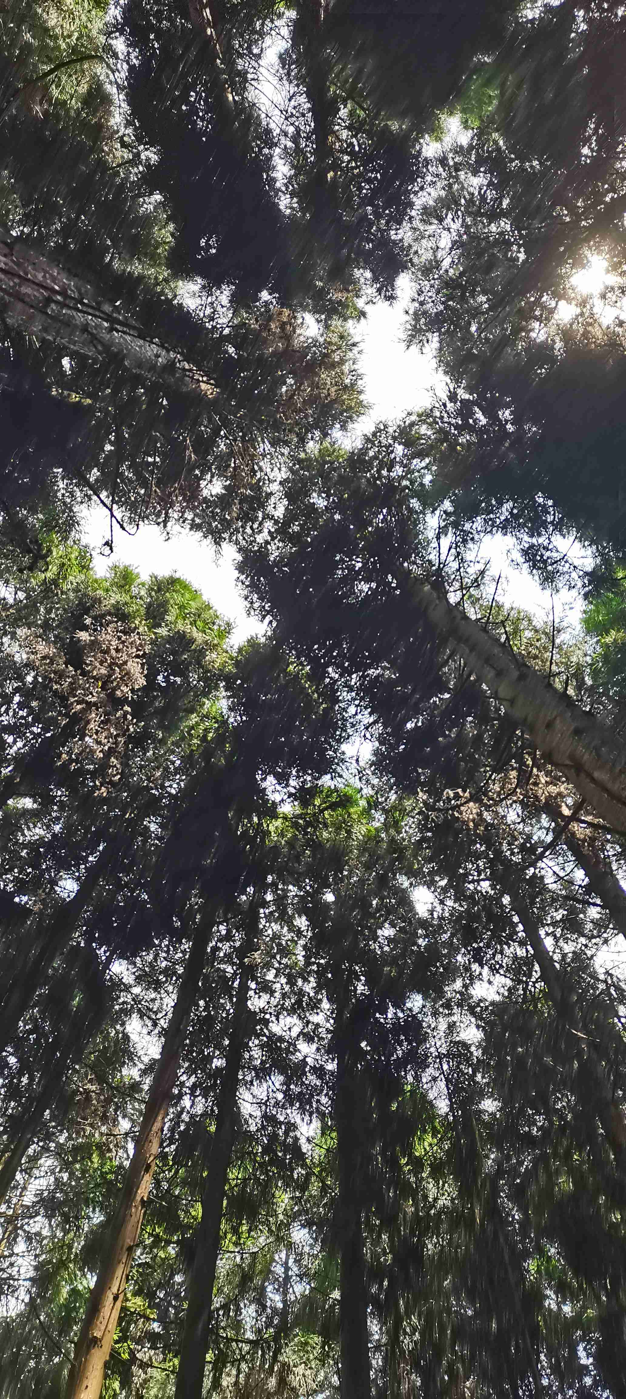 见面的方式有很多种