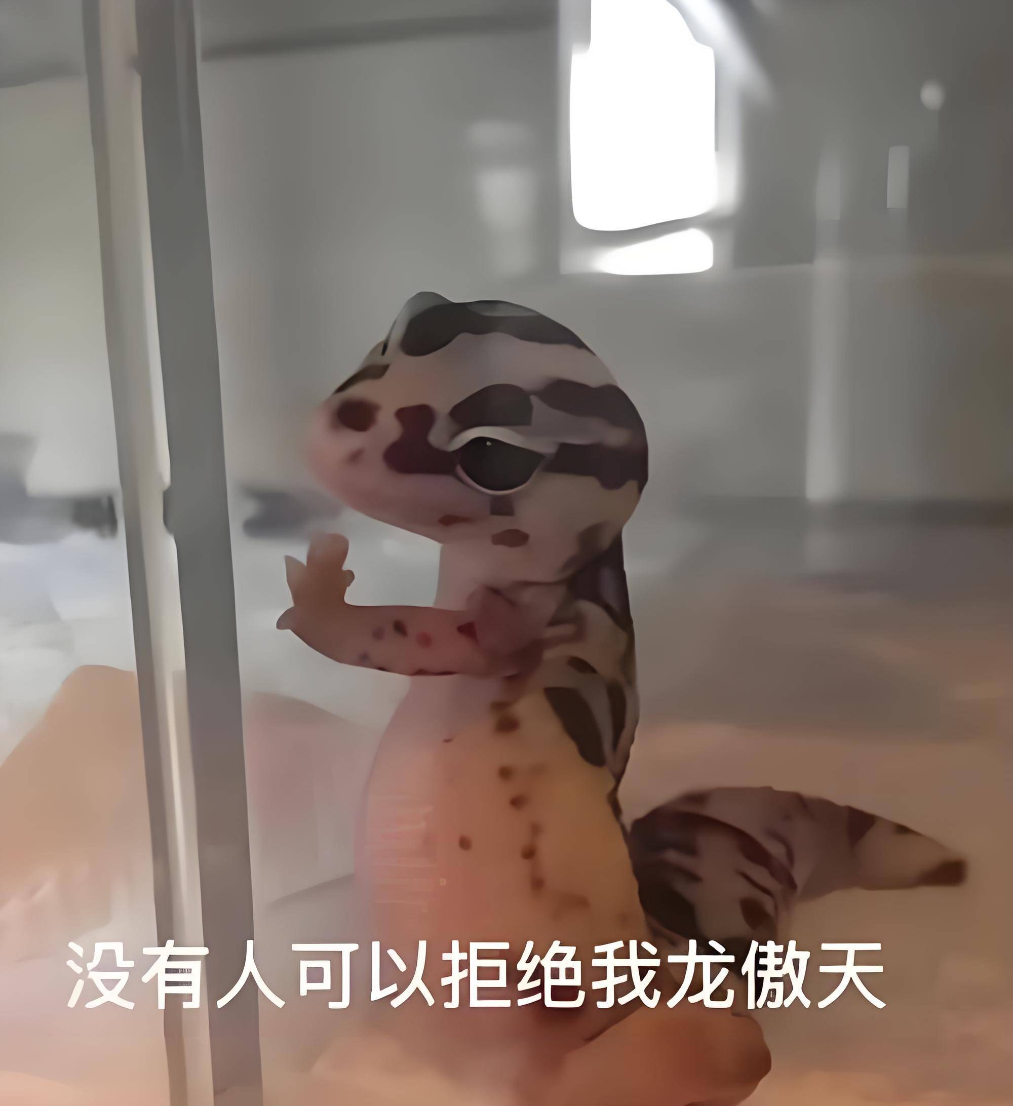 叫我小明就好了